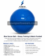 Glossy blue training football with stitched panel construction for school sports and practice sessions